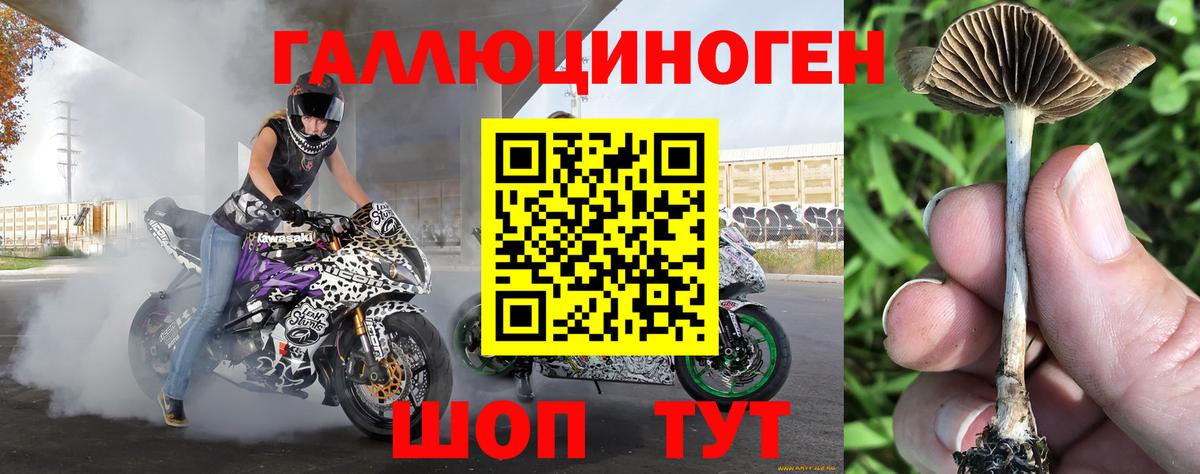 Псилоцибиновые грибы ЛСД  Вход с VPN  Маркс 